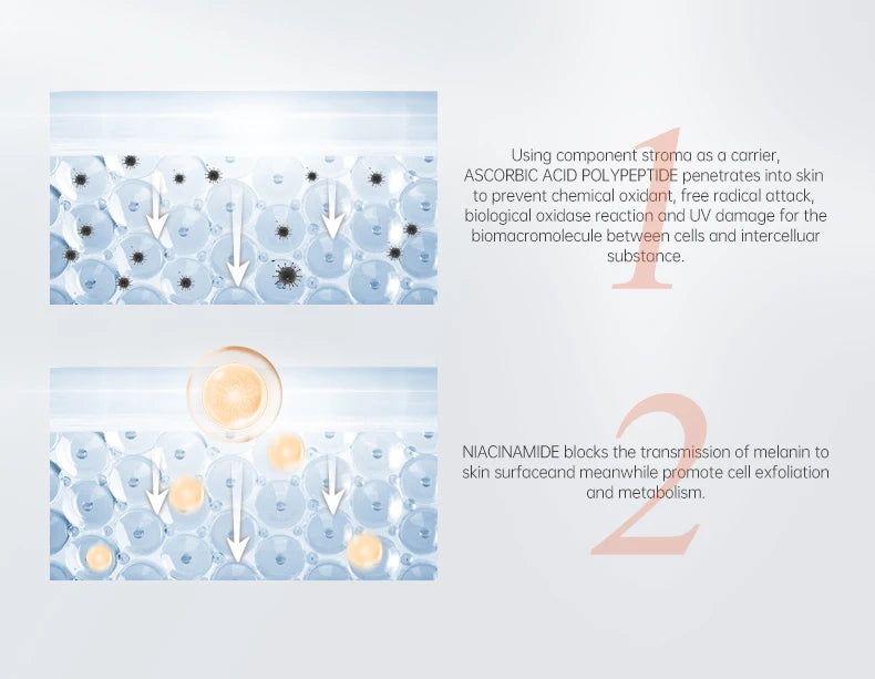 Anti-Wrinkle Facial Serum with Vitamin C and Niacinamide for Day and Night 15ml