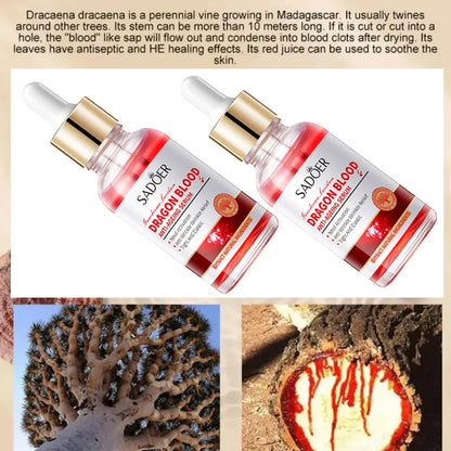 Royal Dragon - Hydrating Rejuvenating Blood Serum